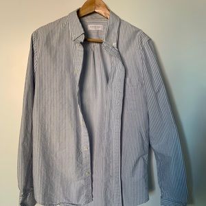 Everlane Slim Fit Japanese Oxford